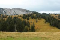 2015-10-04_Schafreiter_(1017).JPG