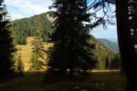 2015-10-04_Schafreiter_(1048).JPG
