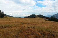 2015-10-04_Schafreiter_(1081).JPG