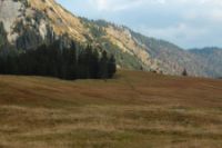 2015-10-04_Schafreiter_(1087).JPG