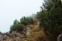 2015-10-04_Schafreiter_(1145).JPG