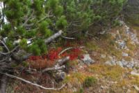 2015-10-04_Schafreiter_(1152).JPG