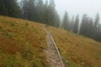 2015-10-04_Schafreiter_(1234).JPG