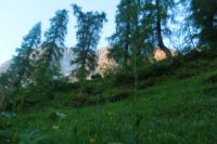 2015-07-04_1Binssattel (109).JPG