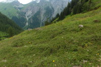 2016-07-16_Stoanblamlkopf_(197).JPG