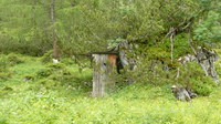 2016-07-16_Stoanblamlkopf_(223)V4.JPG