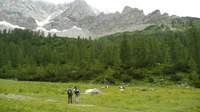 2016-07-16_Stoanblamlkopf_(224)V1.JPG