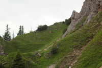 2016-07-16_Stoanblamlkopf_(305).JPG