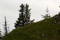 2016-07-16_Stoanblamlkopf_(313)1.JPG