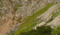 2016-07-16_Stoanblamlkopf_(337)V2.JPG