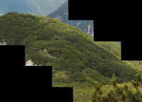 2016-07-16_Stoanblamlkopf_(446)-(449)1.JPG