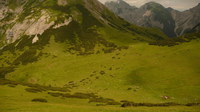 2016-07-16_Stoanblamlkopf_(447)V7.JPG