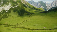 2016-07-16_Stoanblamlkopf_(515)V16.JPG