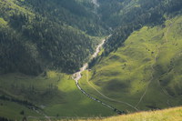 2016-07-16_Stoanblamlkopf_(537).JPG