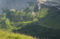 2016-07-16_Stoanblamlkopf_(539).JPG