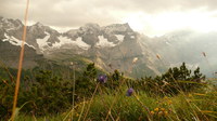 2016-07-16_Stoanblamlkopf_(705)V29.JPG