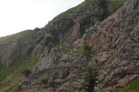 2016-07-16_Stoanblamlkopf_(857b).JPG