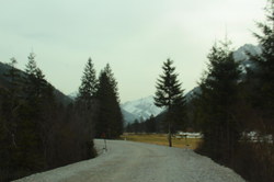 2016-04-02_Waldeggl_(144).JPG