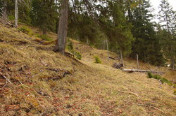2016-04-02_Waldeggl_(184).JPG
