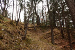 2016-04-02_Waldeggl_(197).JPG