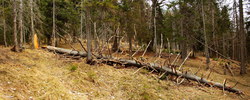 2016-04-02_Waldeggl_(259)-(260).JPG