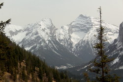 2016-04-02_Waldeggl_(311)1.JPG