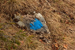 2016-04-02_Waldeggl_(387).JPG