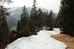 2016-04-02_Waldeggl_(413).JPG