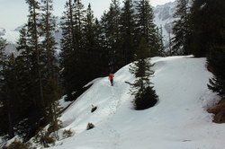 2016-04-02_Waldeggl_(422).JPG