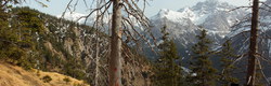 2016-04-02_Waldeggl_(552)-(554).JPG