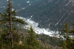 2016-04-02_Waldeggl_(625)1.JPG