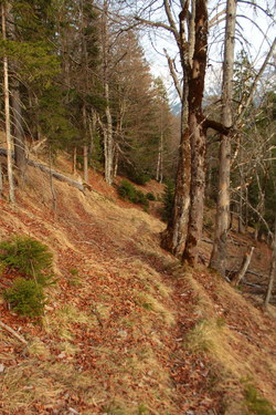 2016-04-02_Waldeggl_(675).JPG