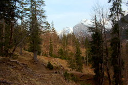 2016-04-02_Waldeggl_(719)1.JPG