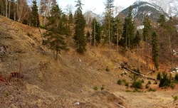 2016-04-02_Waldeggl_(721)-(726).JPG