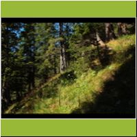 2016-09-07_Waldeggl_(298).JPG