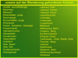 _Kraeuter-der-Wanderung.JPG