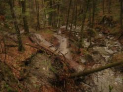 2014-04-15_Lainbachfall_005.JPG