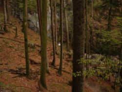 2014-04-15_Lainbachfall_017.JPG