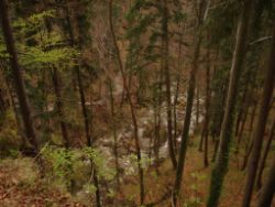 2014-04-15_Lainbachfall_020.JPG