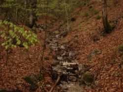 2014-04-15_Lainbachfall_022.JPG