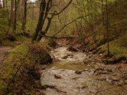 2014-04-20_Lainbachfall_010.JPG