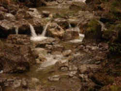 2014-04-20_Lainbachfall_016.JPG