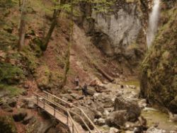 2014-04-20_Lainbachfall_024.JPG