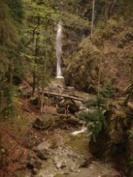 2014-04-20_Lainbachfall_056.JPG