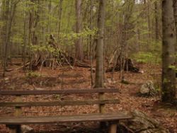 2014-04-20_Lainbachfall_067.JPG