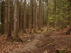 2014-04-20_Lainbachfall_070.JPG