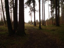 2014-04-20_Lainbachfall_074.JPG