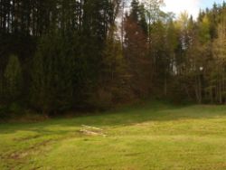 2014-04-20_Lainbachfall_089.JPG