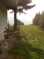 2014-04-20_Lainbachfall_096.JPG