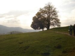 2014-04-20_Lainbachfall_119.JPG